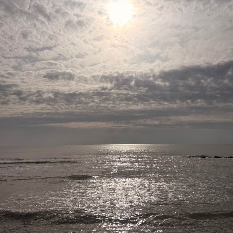 La forza Nairobis post image