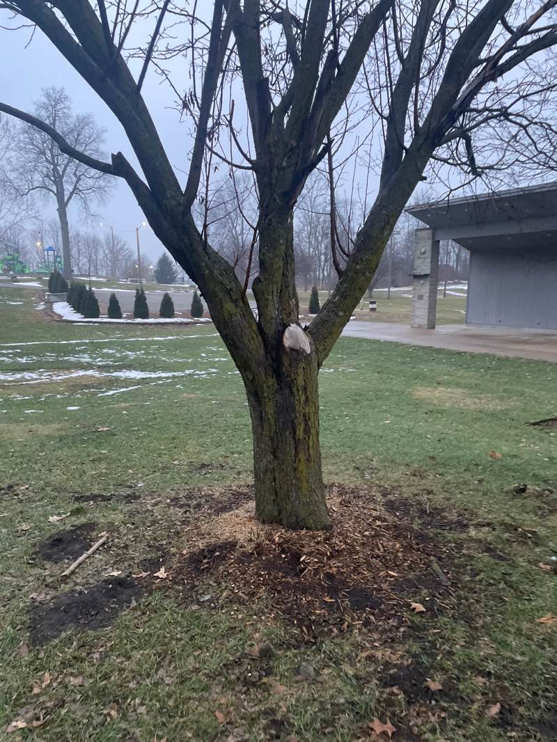 walking near me in Riverside Park in winter