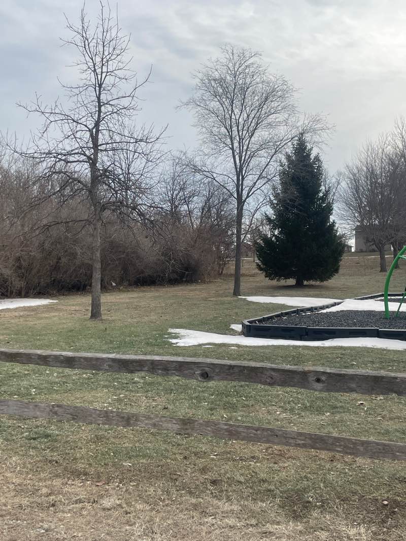 walking near me in Kiwanis Park in winter