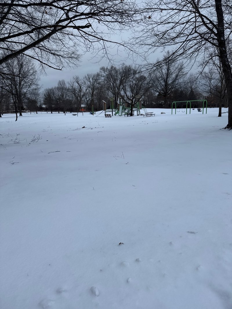 walking near me in Swan Creek Preserve Metropark in winter