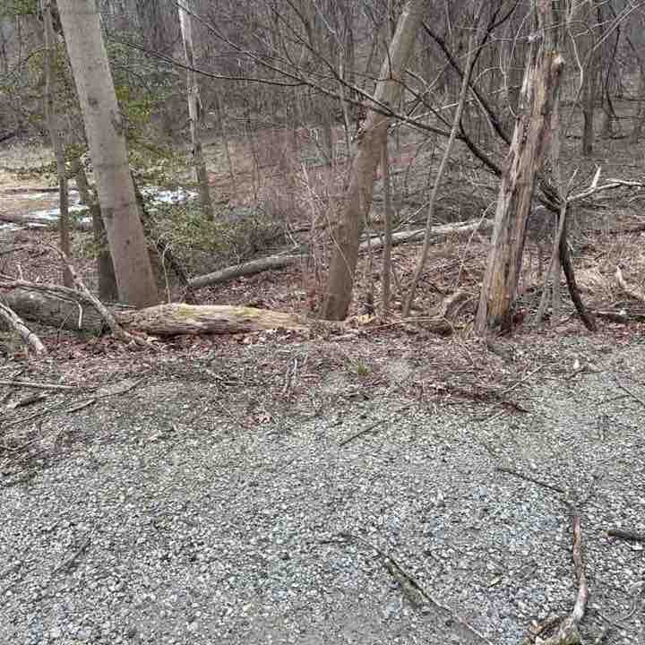 David of Maumee post 1