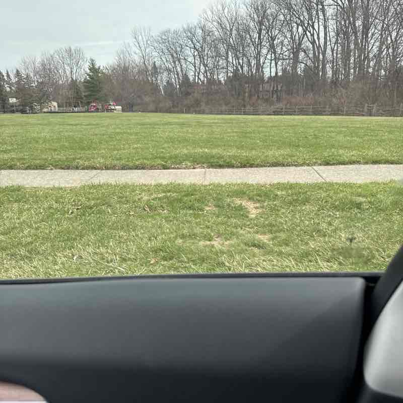 David of Maumee post 1