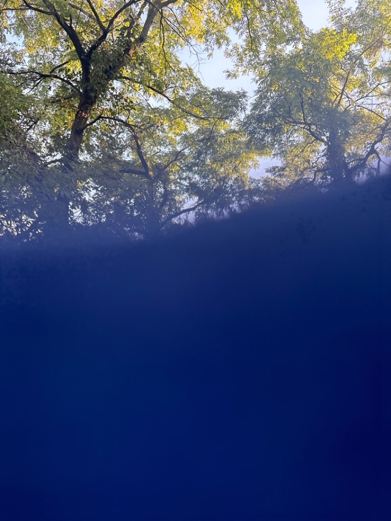 walking near me in Three Rivers County Park in autumn
