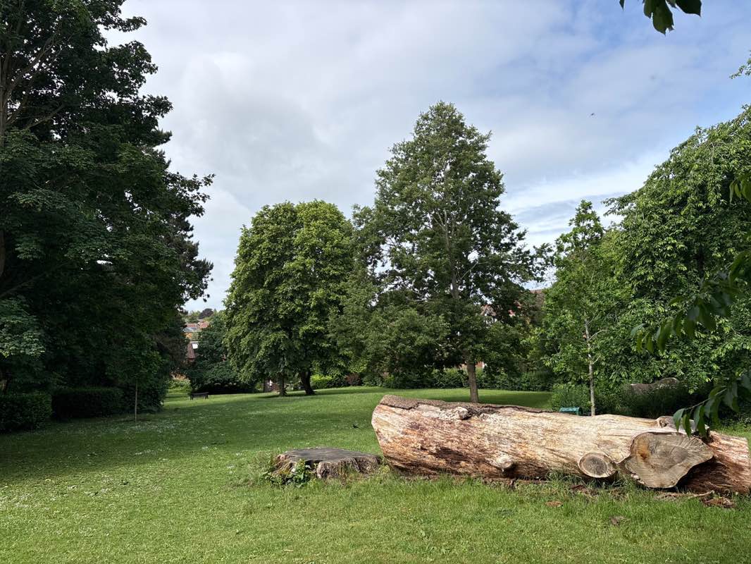 walking near me in Lydekker Park in summer