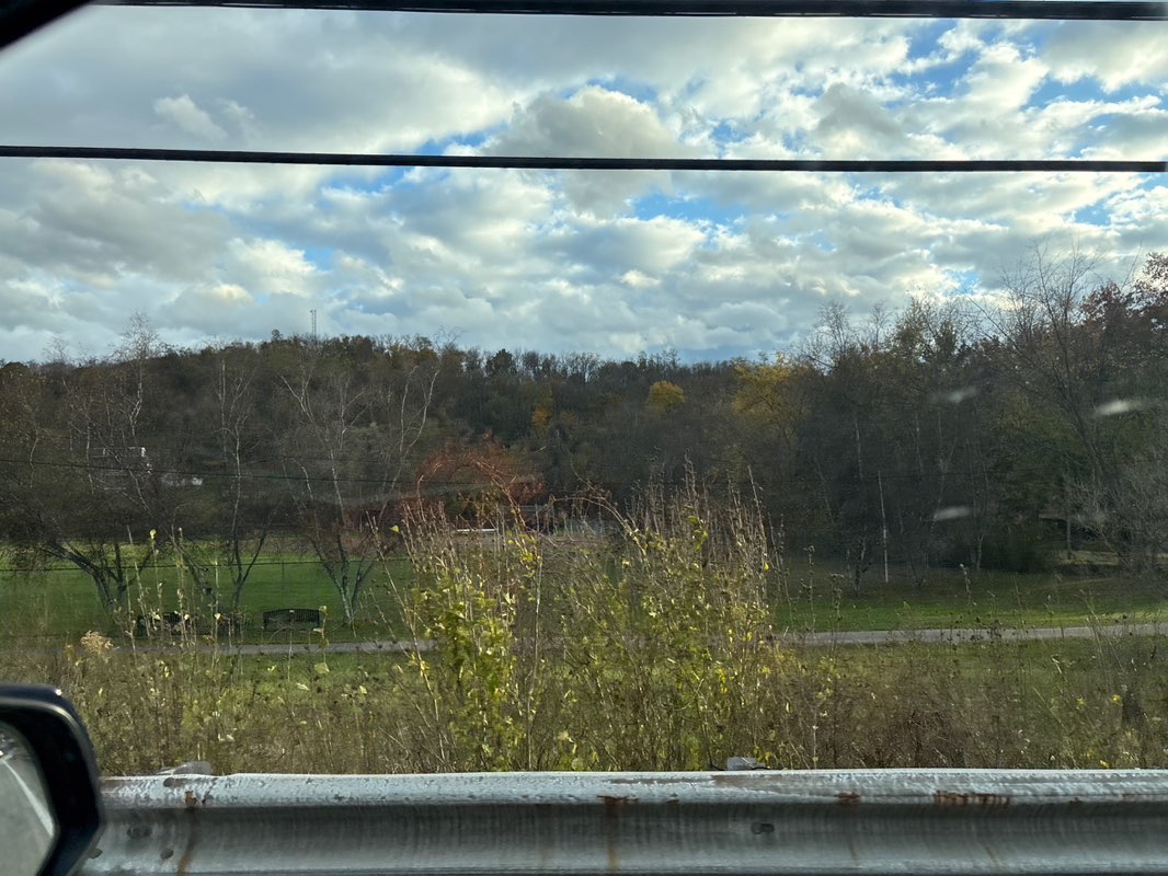 walking near me in Lynch Field Park in autumn