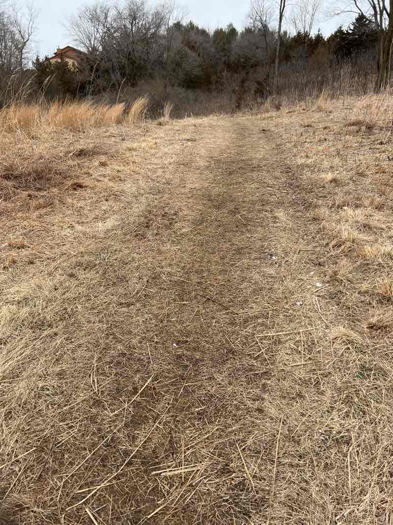 walking near me in Cedar Hills Park in spring