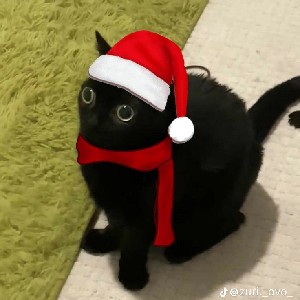 Herick.D.Santos - 🇧🇷☕ profile