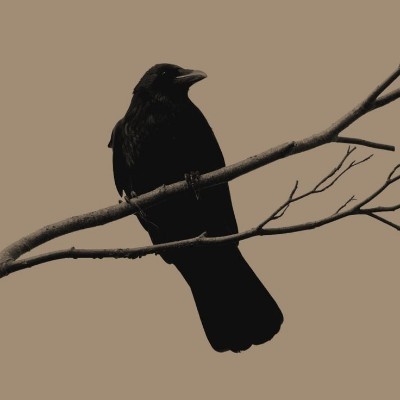 Juntos somos mais🚶‍♂️🚶‍♀️ Herick.D.Santos - 🇧🇷☕ post image