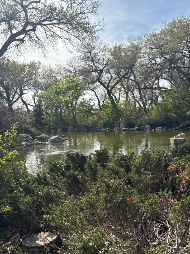 walking near me in Albuquerque BioPark Botanic Garden in spring