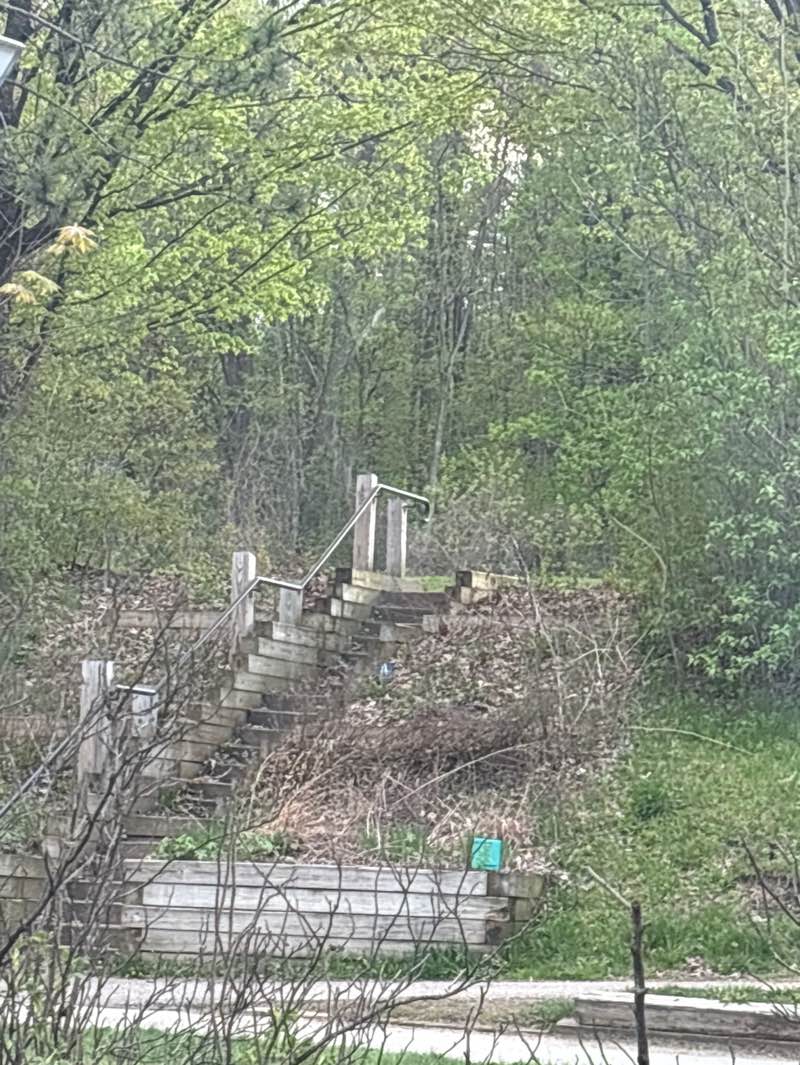 walking near me in Schmanska Park in spring