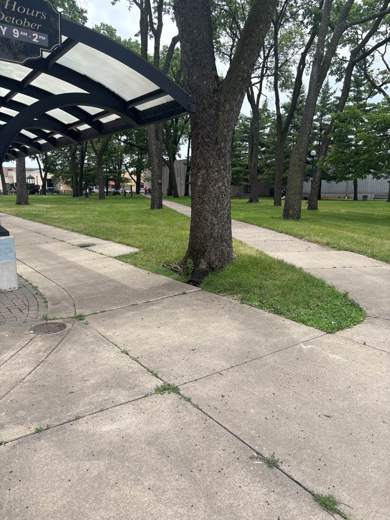 walking near me in Cameron Park in summer