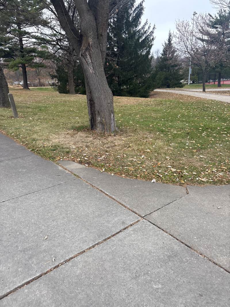 walking near me in Knolls Greenway in autumn