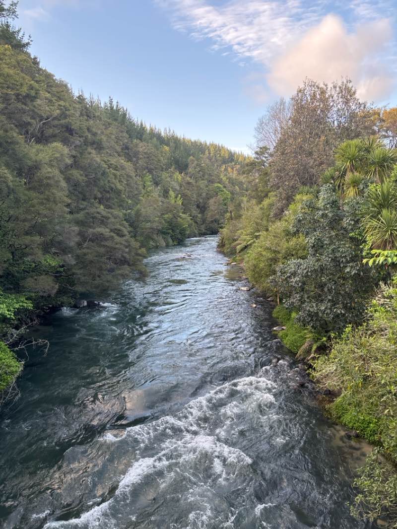 walking near me in Prideaux Park in spring
