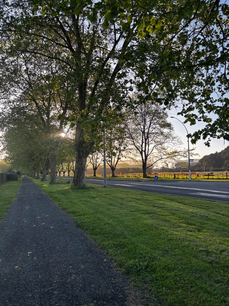 walking near me in Boyce Park in spring
