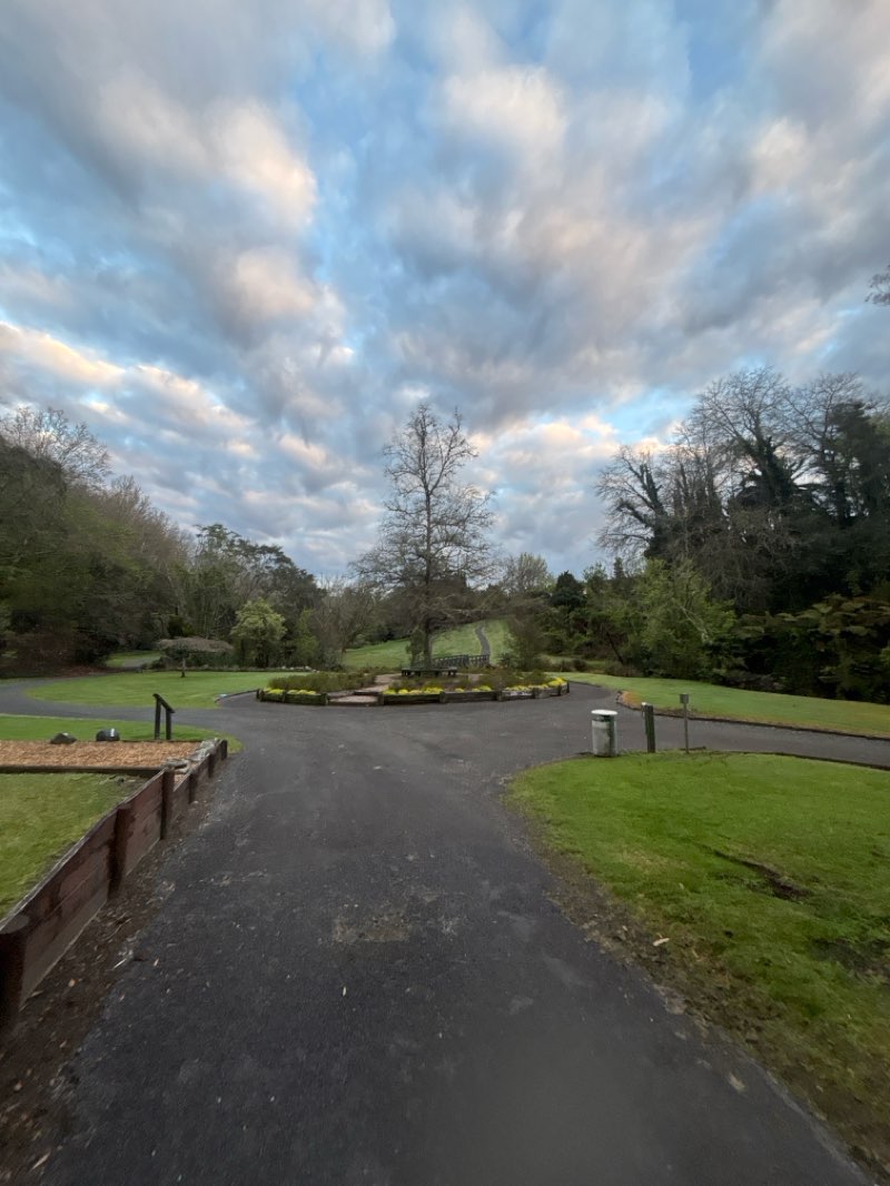 walking near me in Ruruanga Park in spring