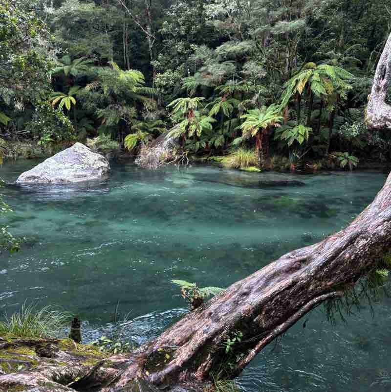 DesmondMcleanJnr post 3