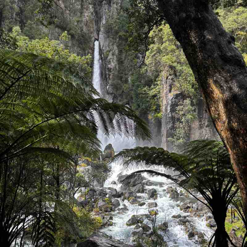 DesmondMcleanJnr post 1