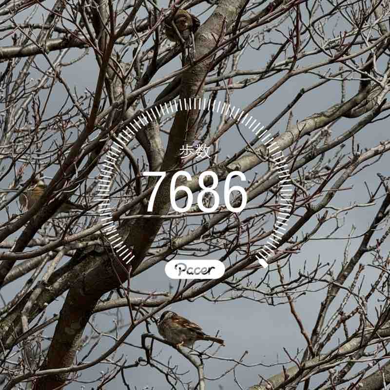 瑞枝 post 1