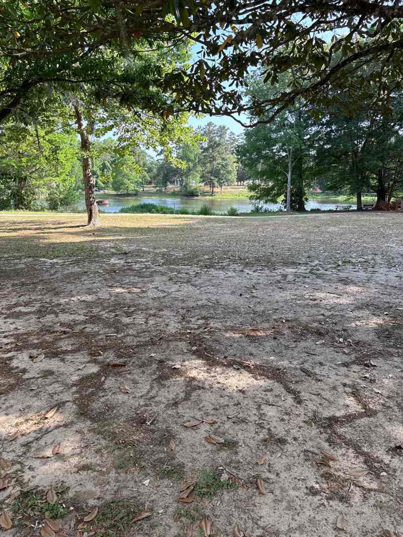 walking near me in Tom Brown Park in spring