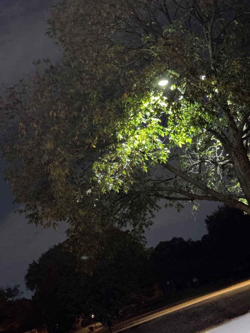 walking near me in Rawhide Park in autumn