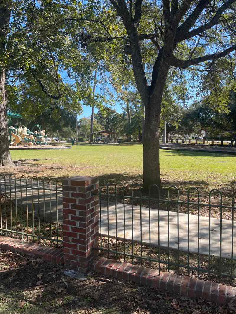 walking near me in Collins Park in autumn