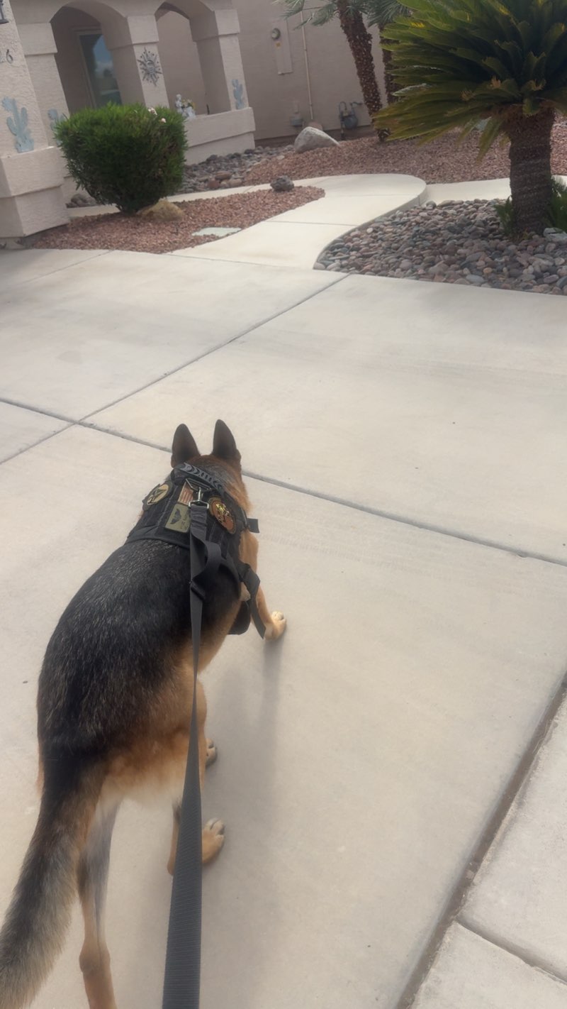 walking near me in Goynes Park in autumn