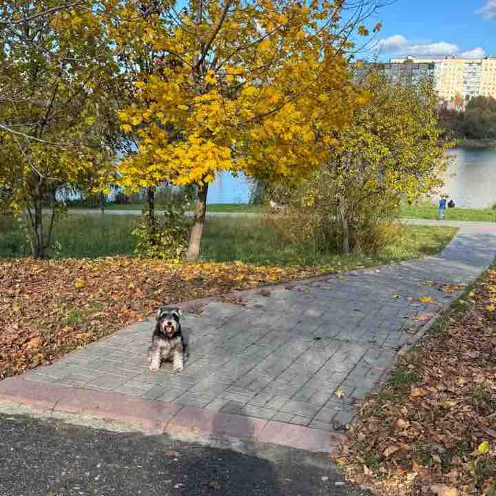 Girls motivation💪🏼 Anastasiia post image