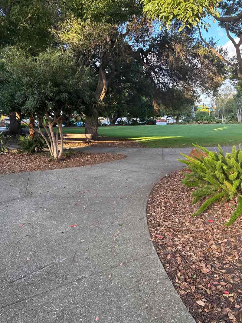 walking near me in Washington Park in autumn