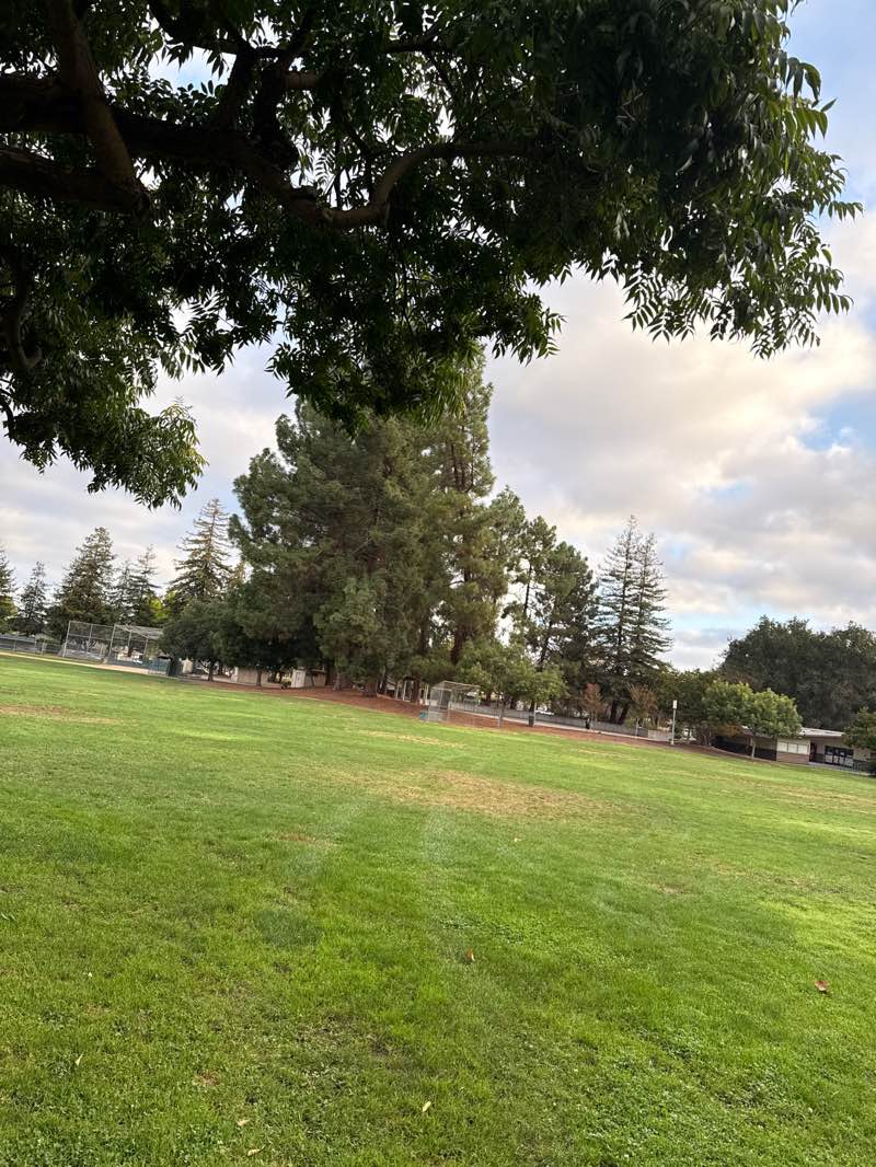 walking near me in Serra Park in autumn