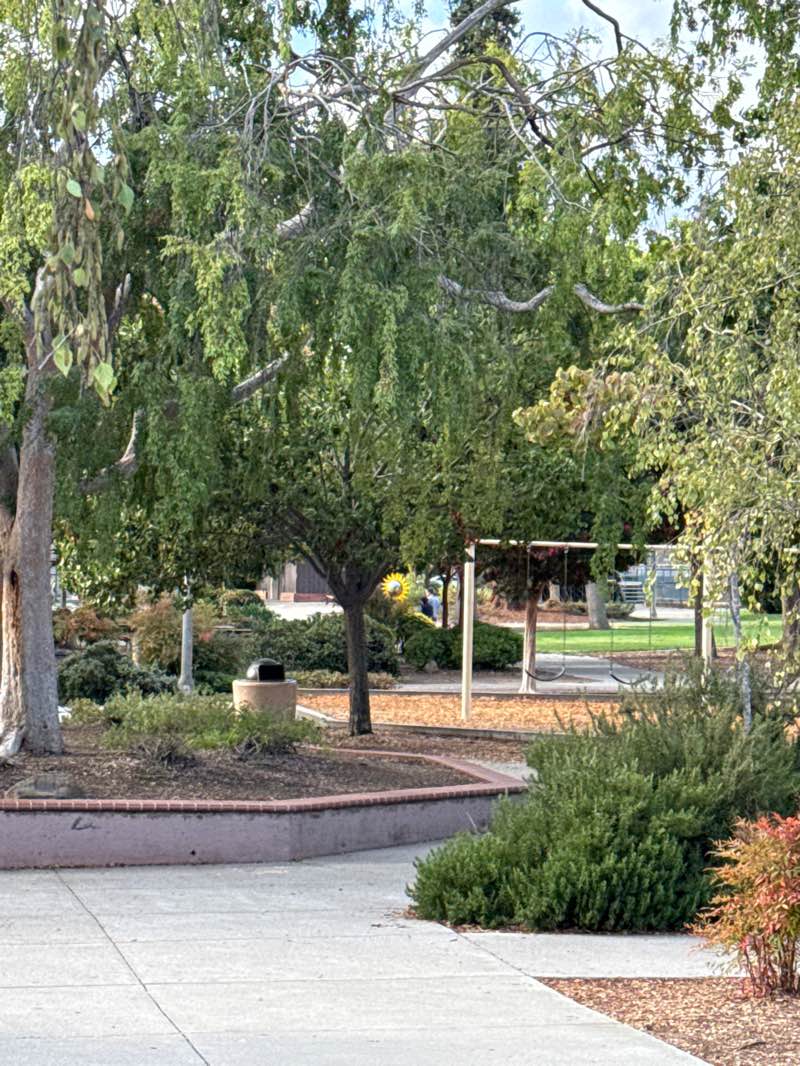 walking near me in Ortega Park in autumn