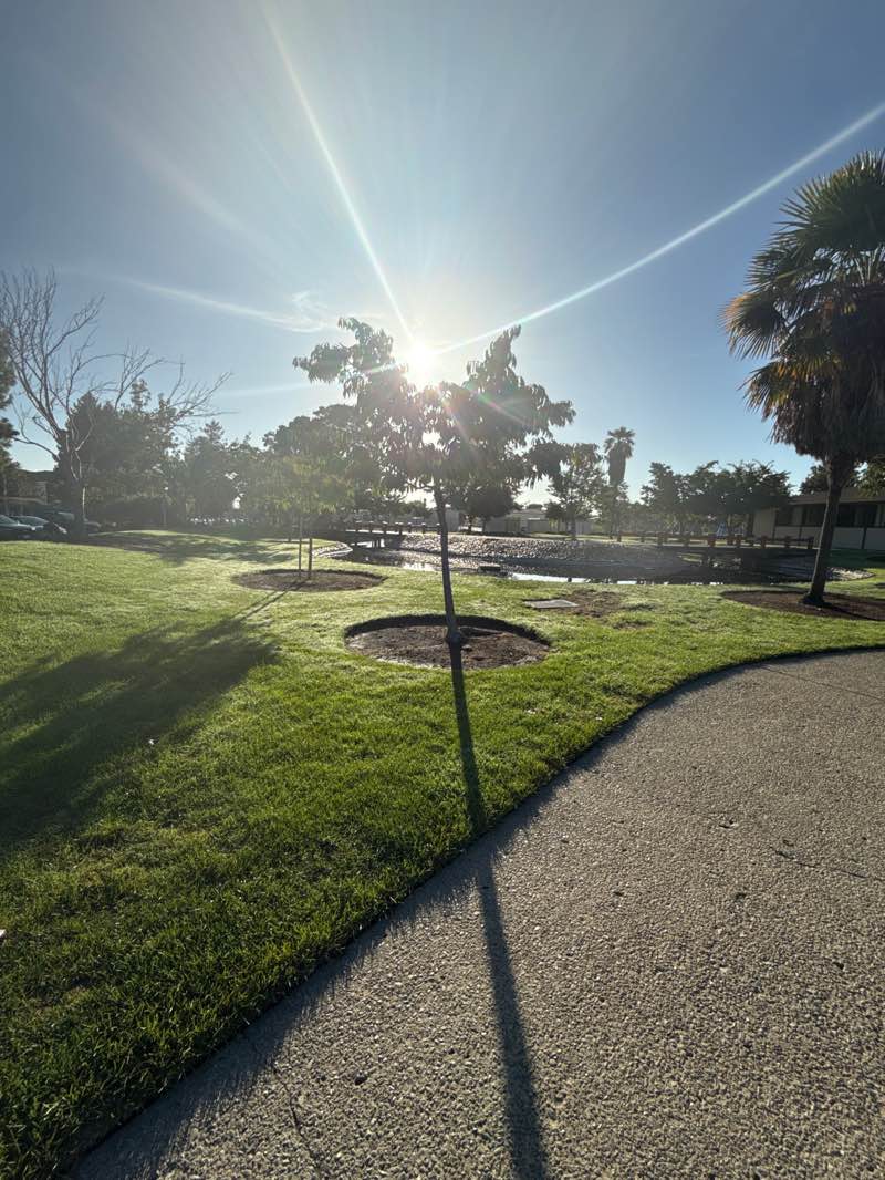 walking near me in Braly Park in autumn
