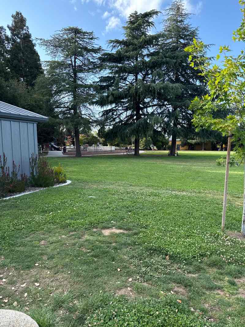 walking near me in Jollyman Park in summer