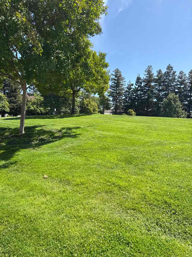 walking near me in Serra Park in summer