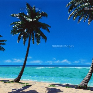 いけうち profile