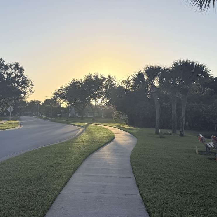 Orlando Stride A post image