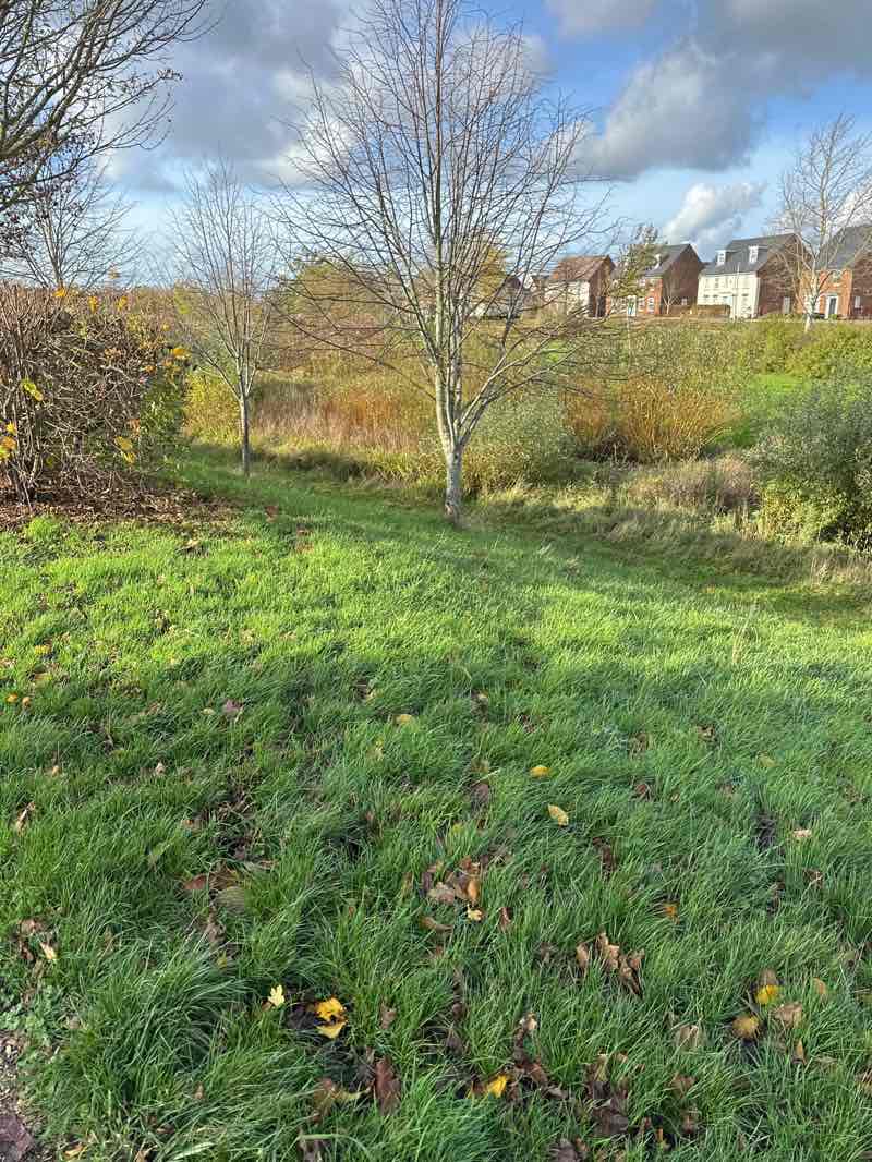 walking near me in Brooklands Meadows Park in autumn