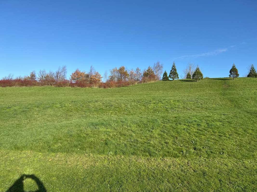 walking near me in Brooklands Ridge in autumn