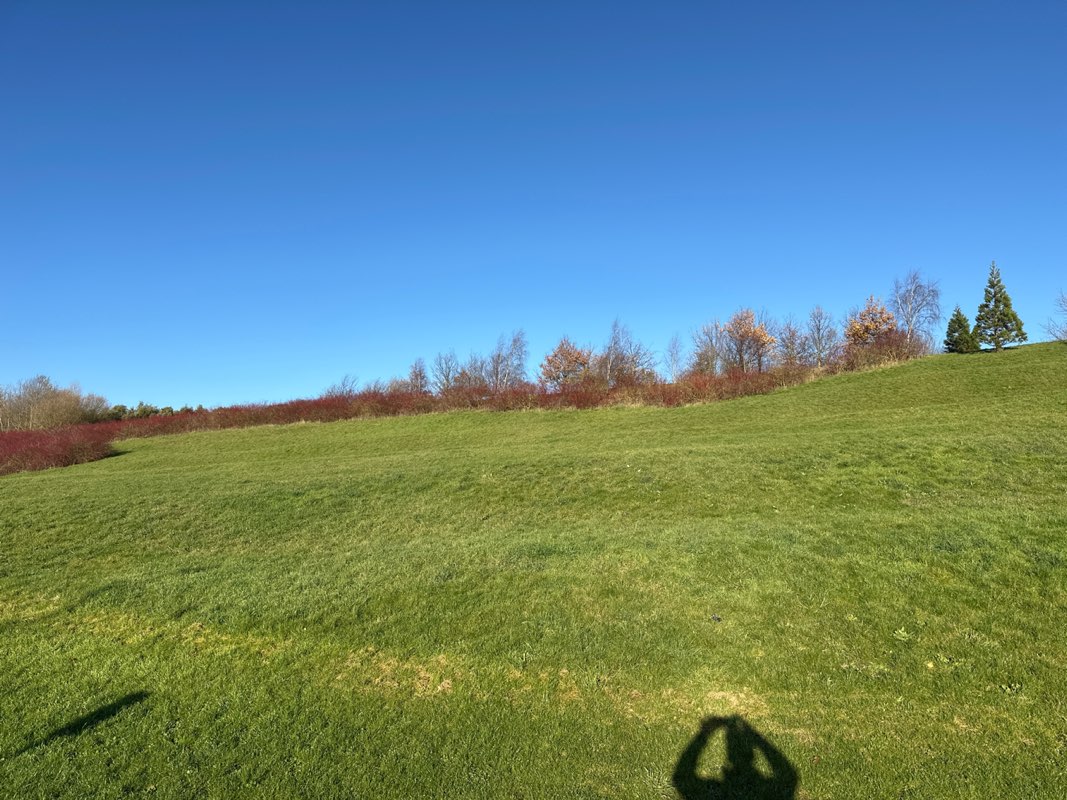 walking near me in Brooklands Ridge in winter