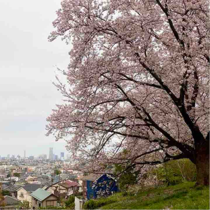 毎日3000歩以上歩く Mae post image