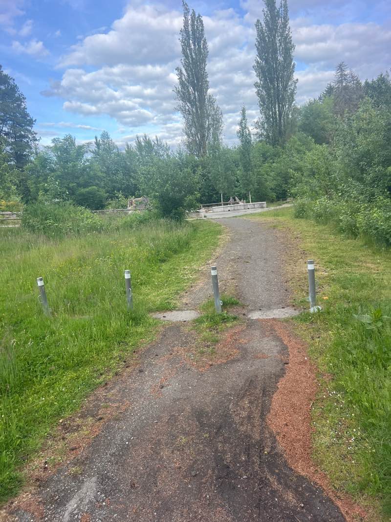 walking near me in Lake Stickney Park in summer