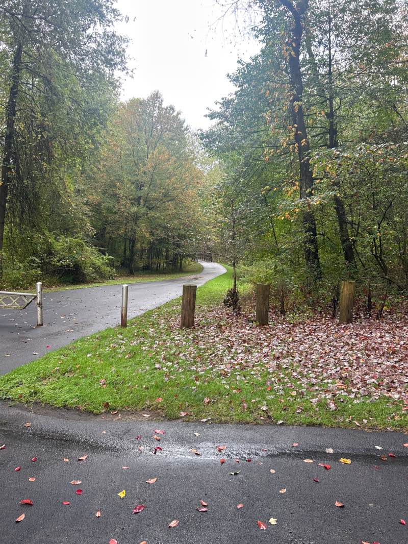 walking near me in Mill Creek Park in autumn