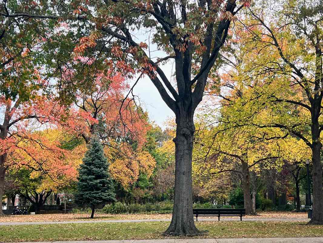 walking near me in Juniper Valley Park in autumn
