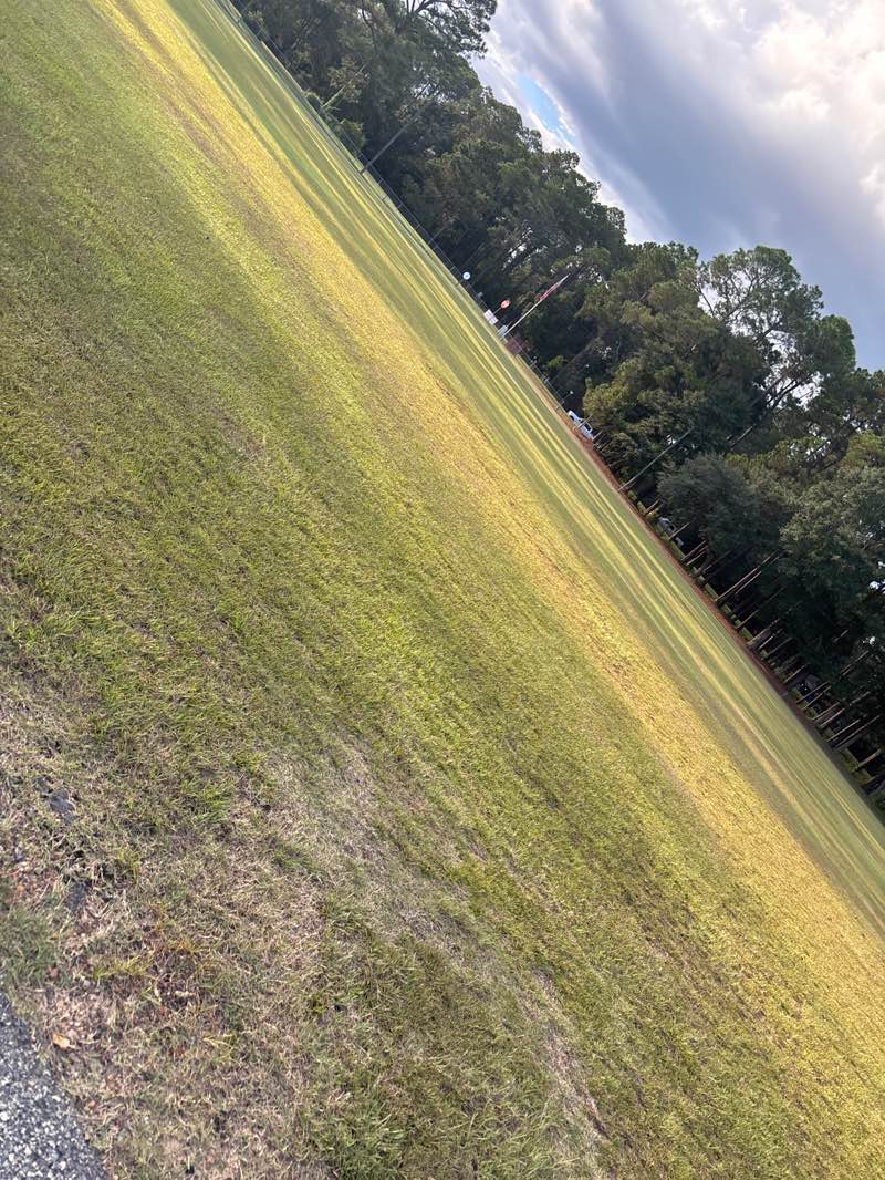 walking near me in Ponder Park in autumn