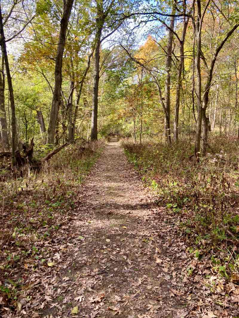 walking near me in Robert Allerton Park in autumn