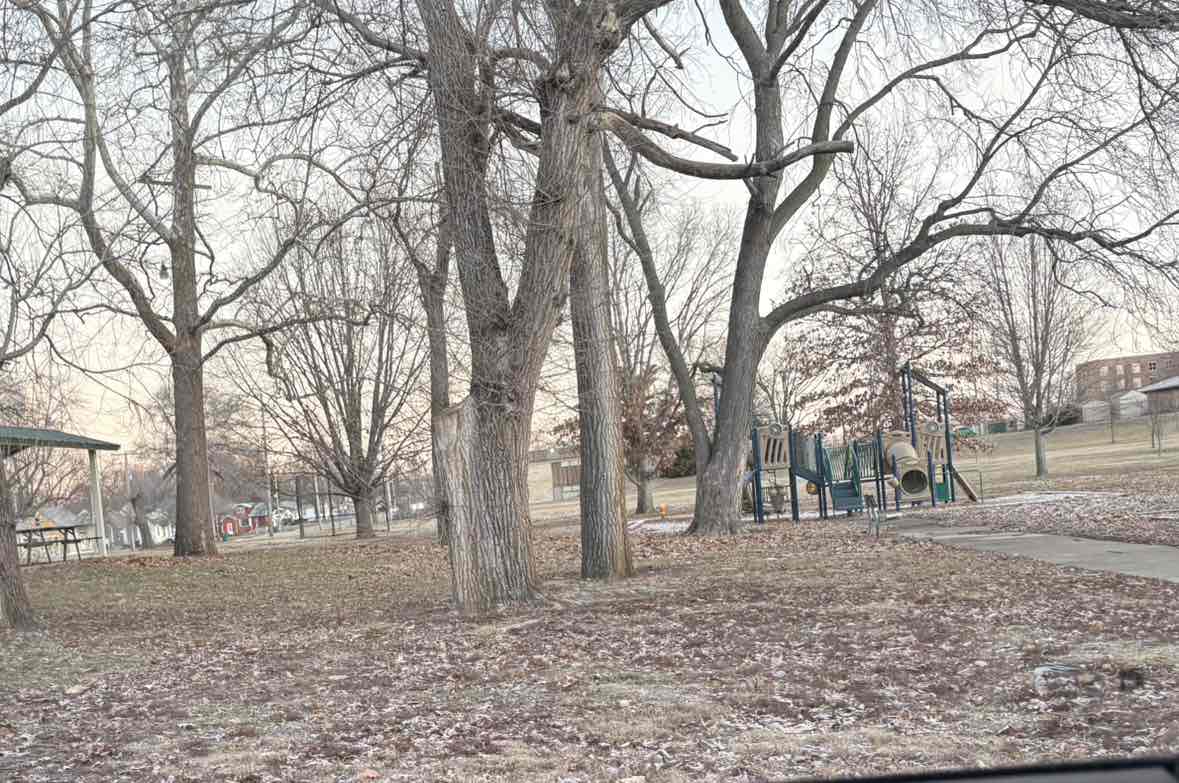 walking near me in Monroe Park in winter