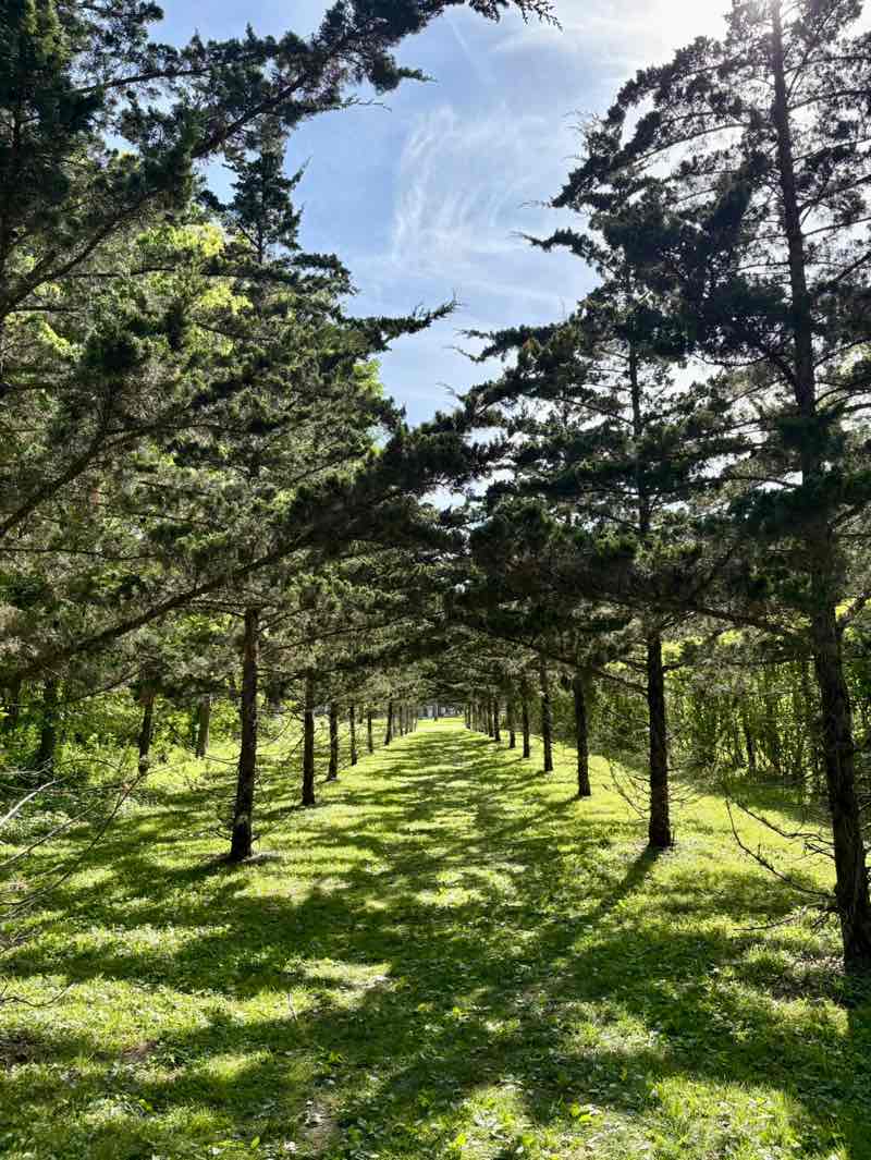 walking near me in Robert Allerton Park in spring