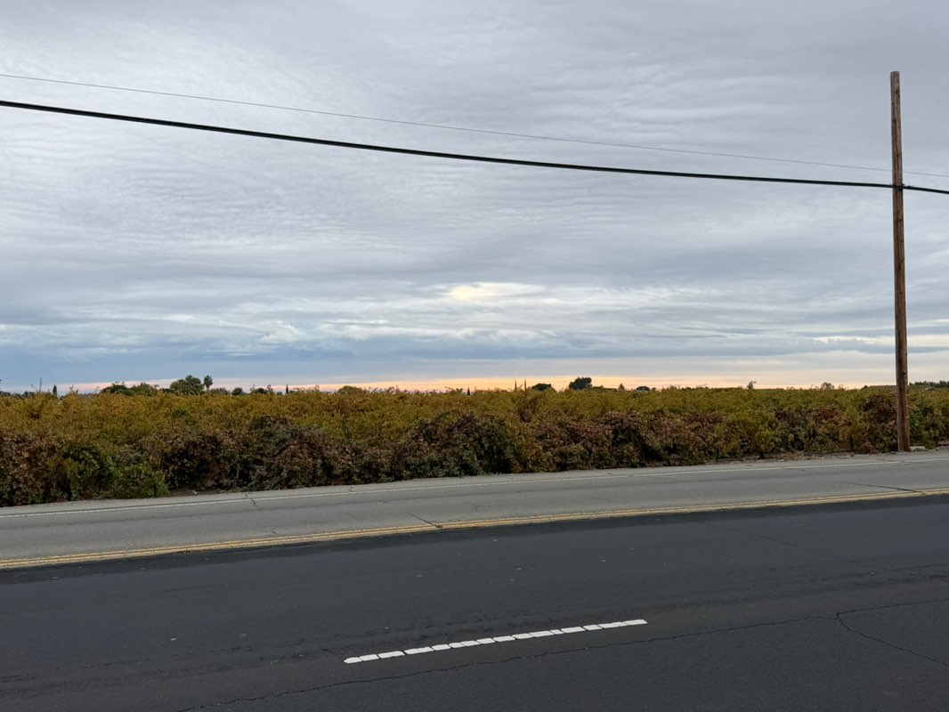 walking near me in Freedom Basin Park in autumn