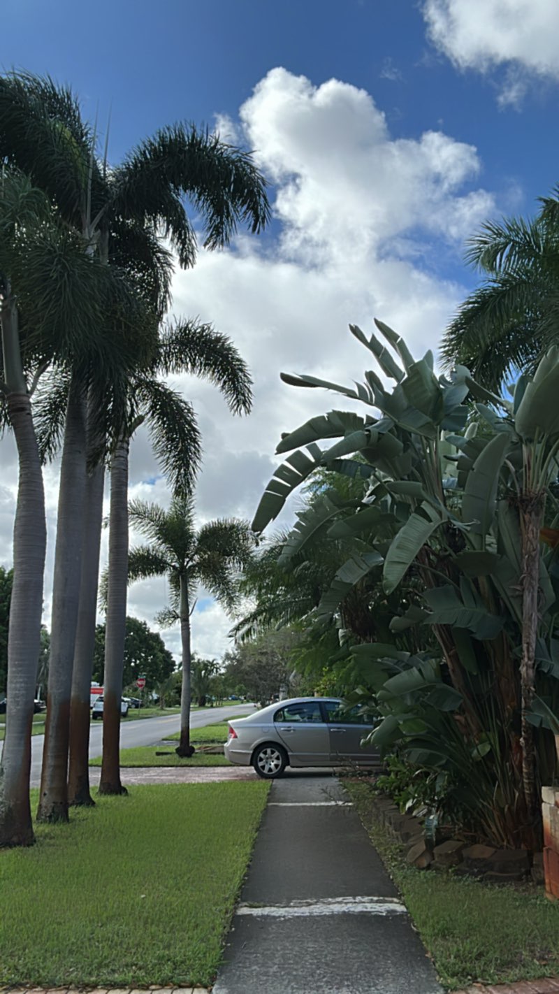 walking near me in Maxwell Park in autumn