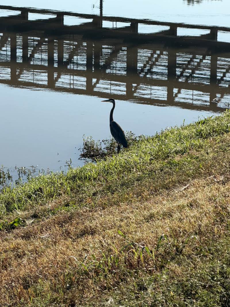 walking near me in Mason Creek Park Hike & Bike Trails in autumn