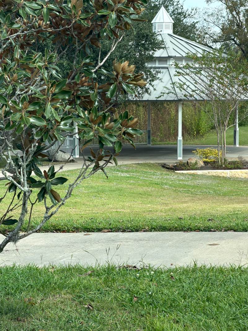 walking near me in Wessendorff Park in autumn